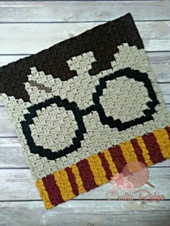 12043194_914145735287827_6134735913374079685_n