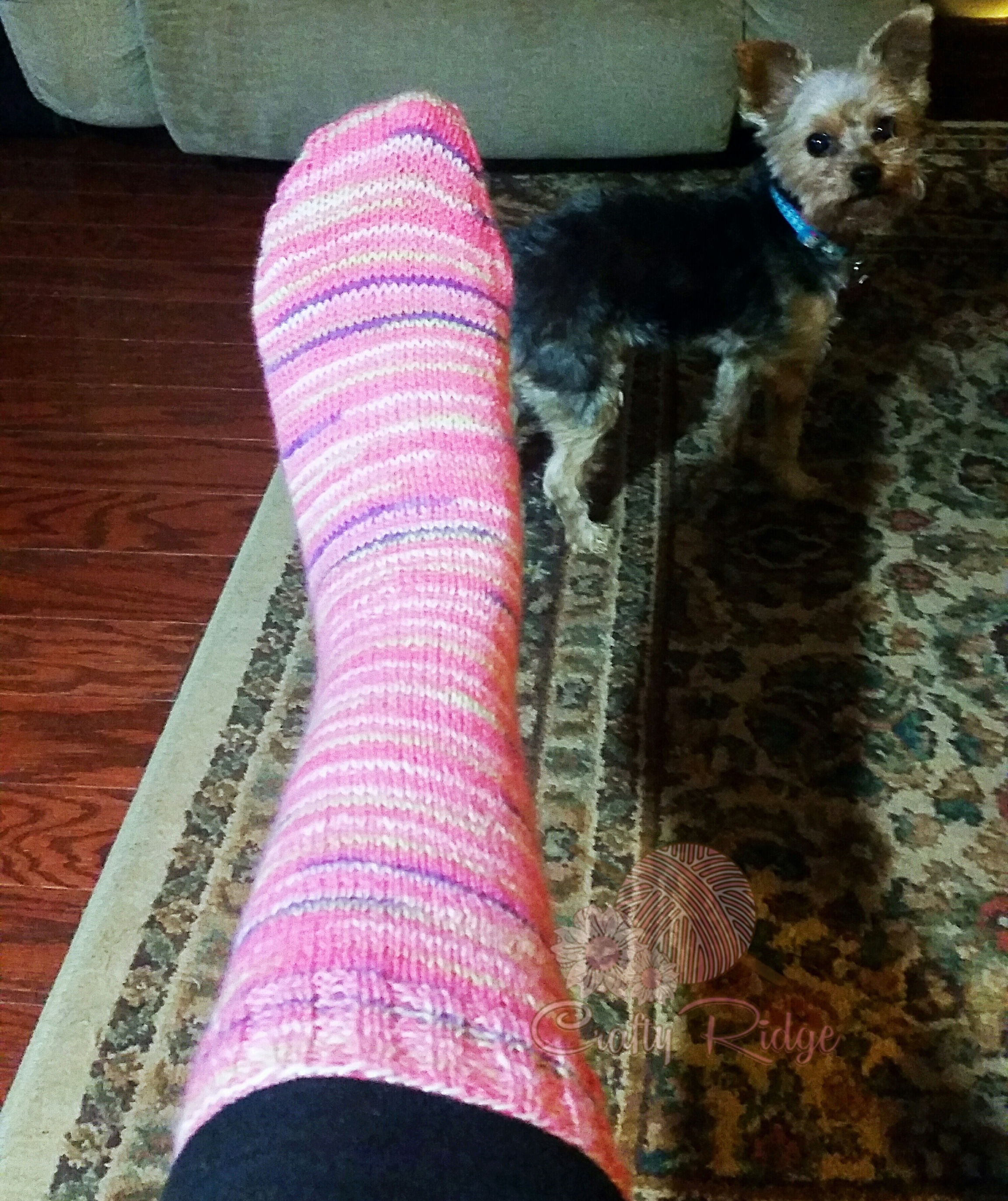 IMG_20170228_192352_398